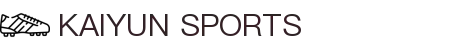 开云·体育（官网）KAIYUN SPORTS